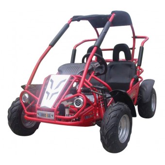 Off-Road Buggy 196cc 6.5HP